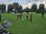 JO7 Toernooitje op Sportpark Het Springer zaterdag 23 september 2023 (198/252)